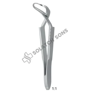 Jones Towel Forceps CVD – 6–9 cm (2½"–3½"), 1:1 Surgical Instrument